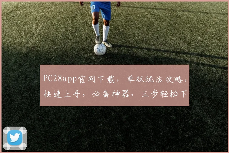 PC28app官网下载，单双玩法攻略，快速上手，必备神器，三步轻松下载，体验非凡