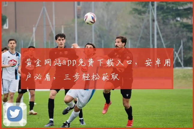 黄金网站app免费下载入口，安卓用户必看，三步轻松获取