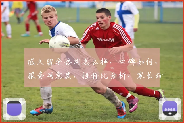威久留学咨询怎么样，口碑如何，服务满意度，性价比分析，家长好评不断