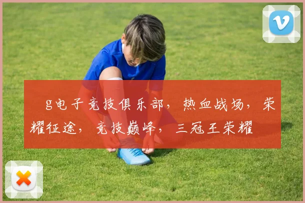 ⅴg电子竞技俱乐部，热血战场，荣耀征途，竞技巅峰，三冠王荣耀