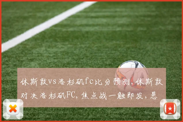 休斯敦vs洛杉矶fc比分预测,休斯敦对决洛杉矶FC,焦点战一触即发,悬念重重