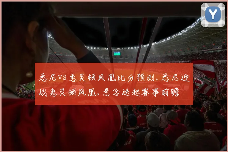 悉尼vs惠灵顿凤凰比分预测,悉尼迎战惠灵顿凤凰,悬念迭起赛事前瞻